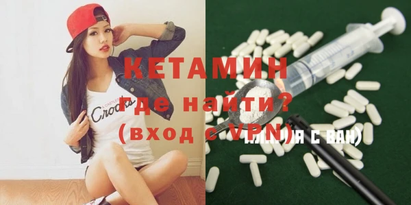 шишки Богородицк
