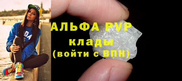 шишки Богородицк