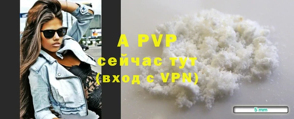 шишки Богородицк