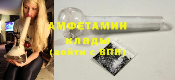 шишки Богородицк