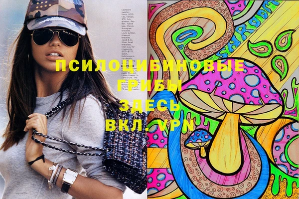МДПВ Богданович