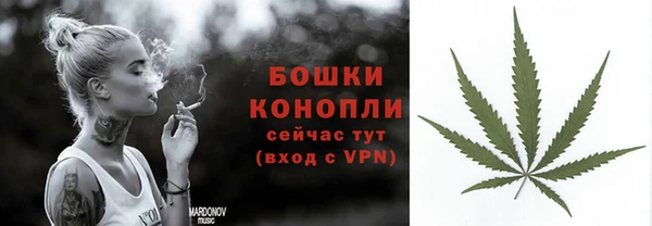 шишки Богородицк