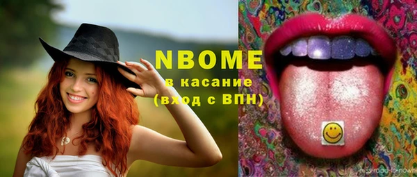 шишки Богородицк