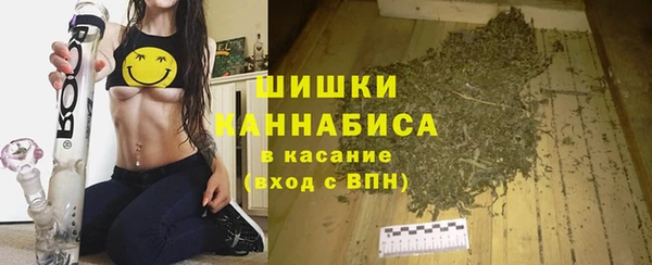 шишки Богородицк