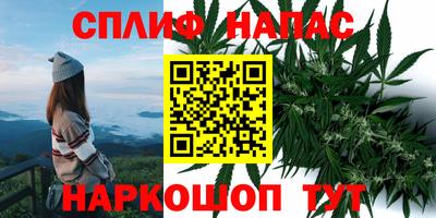 прущие крисы Севастополь
